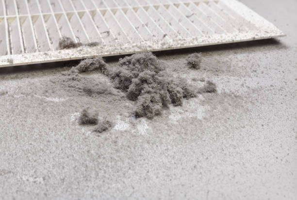 Best Residential Air Duct Cleaning  in New Albany, MS